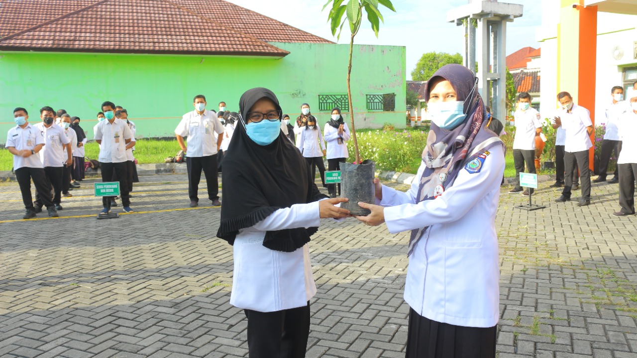 25 BIBIT POHON UNTUK RSJ MUTIARA SUKMA DALAM RANGKA DUKUNG PROGRAM PENGHIJAUAN GUBERNUR NTB